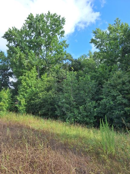 Timberland Property for sale in Abbeville County, South Carolina