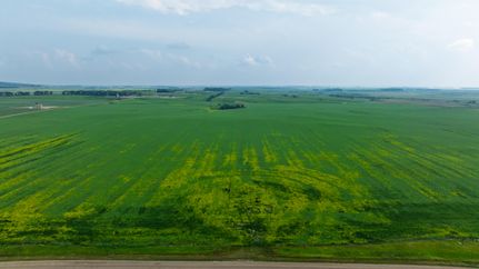 Timberland Property for sale in Bottineau County, North Dakota