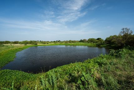 Recreational Property for sale in Wichita County, Texas