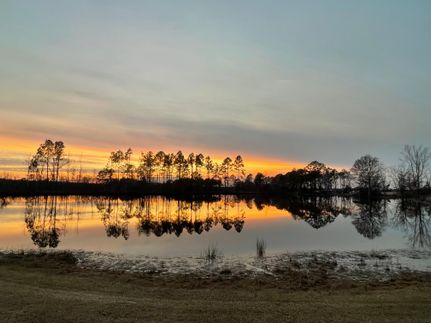 Undeveloped Land for sale in Telfair County, Georgia