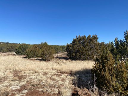 Recreational Property for sale in Apache County, Arizona