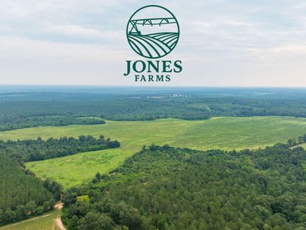 Farm and Ranch for sale in Stewart County, Georgia