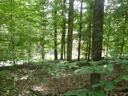Land for sale in Union County, Tennessee