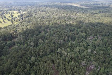 Undeveloped Land for sale in Newton County, Texas