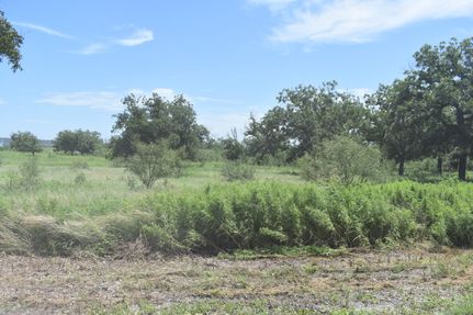Undeveloped Land for sale in Kimble County, Texas