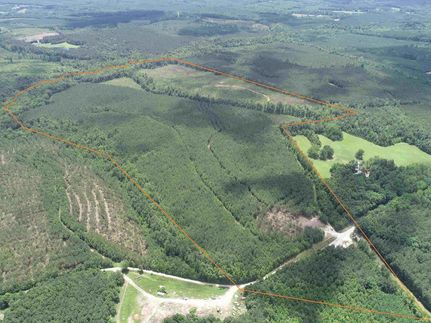 Land for sale in Prince Edward County, Virginia