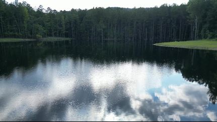Farm and Ranch for sale in Shelby County, Alabama