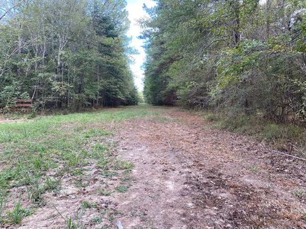 Undeveloped Land for sale in Simpson County, Mississippi