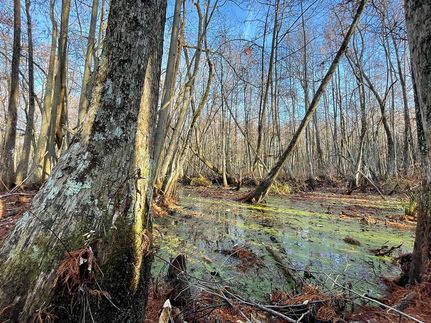 Recreational Property for sale in Holmes County, Mississippi