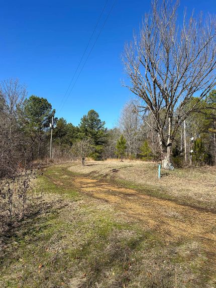 Undeveloped Land for sale in Holmes County, Mississippi