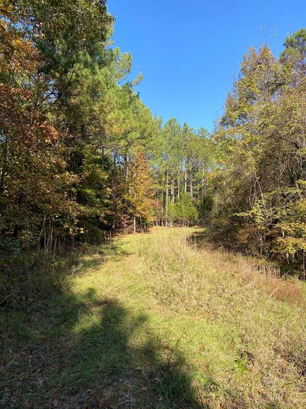 Farm and Ranch for sale in Lafayette County, Mississippi