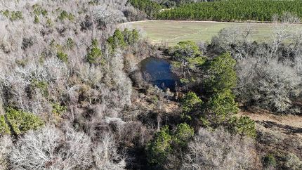 Undeveloped Land for sale in Irwin County, Georgia