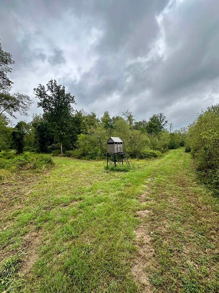 Undeveloped Land for sale in Winston County, Mississippi