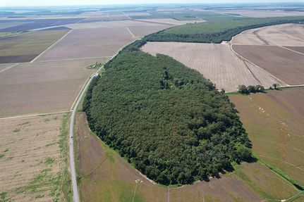Undeveloped Land for sale in Leflore County, Mississippi