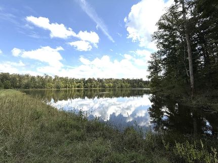 Recreational Property for sale in Montgomery County, Mississippi