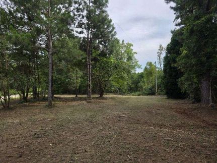 Recreational Property for sale in Bulloch County, Georgia