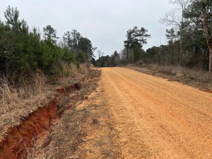 Timberland Property in Lincoln County, Mississippi