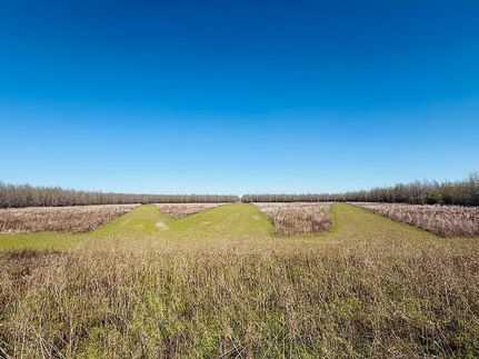 Recreational Property for sale in Sharkey County, Mississippi