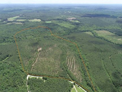 Recreational Property for sale in Prince Edward County, Virginia