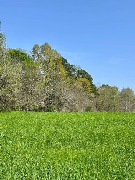 Undeveloped Land in Neshoba County, Mississippi