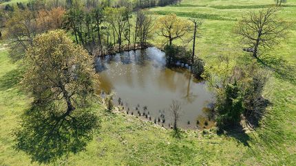 Farm and Ranch for sale in Polk County, Arkansas