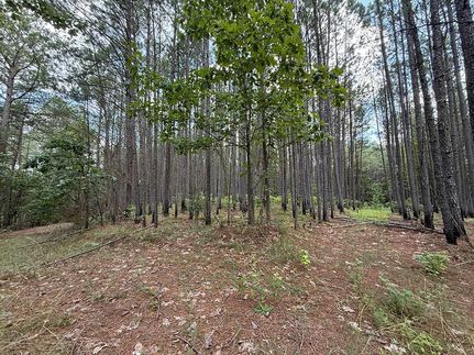 Timberland Property for sale in Attala County, Mississippi