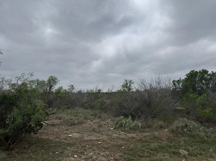 Land in Crockett County, Texas