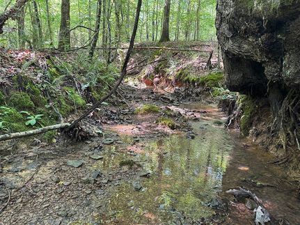 Timberland Property for sale in Lafayette County, Mississippi