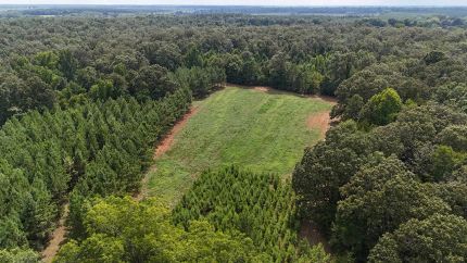 Farm and Ranch for sale in Sumter County, Georgia