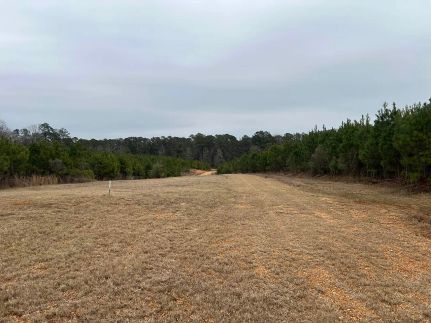 Undeveloped Land for sale in Lincoln County, Mississippi