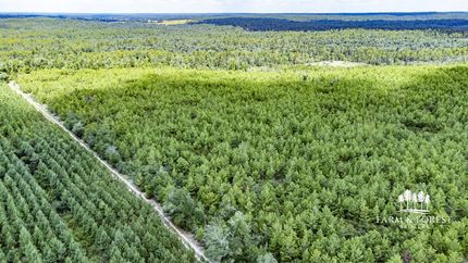 Timberland Property for sale in Jackson County, Florida