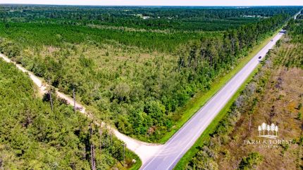 Farm and Ranch for sale in Gulf County, Florida