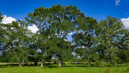 Recreational Property for sale in Bastrop County, Texas