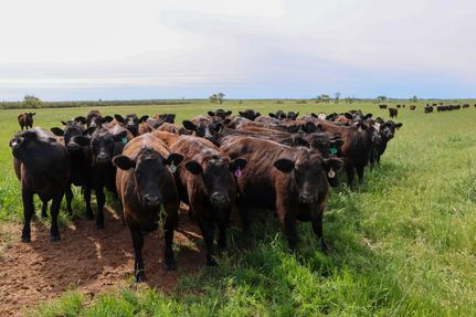 Farm and Ranch for sale in Alfalfa County, Oklahoma