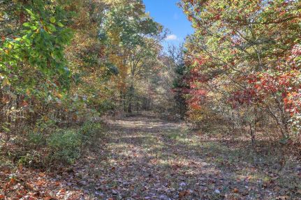 Timberland Property for sale in Cheatham County, Tennessee
