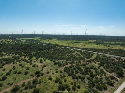 Timberland Property for sale in Taylor County, Texas