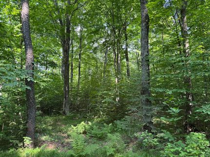 Undeveloped Land for sale in Langlade County, Wisconsin