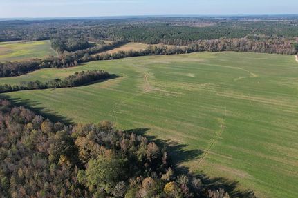 Timberland Property for sale in Attala County, Mississippi