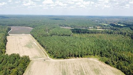 Farm and Ranch for sale in Webster County, Mississippi