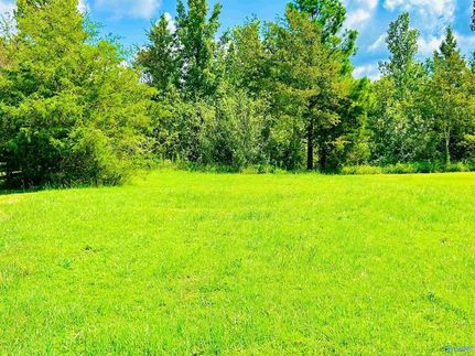 Undeveloped Land for sale in Morgan County, Alabama