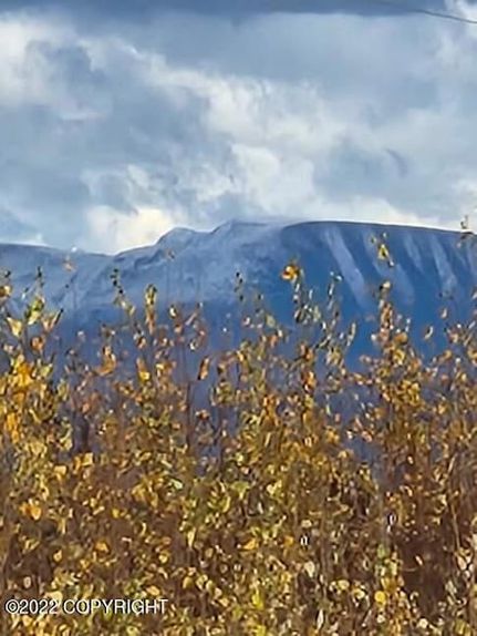 Undeveloped Land for sale in Matanuska-Susitna Borough, Alaska