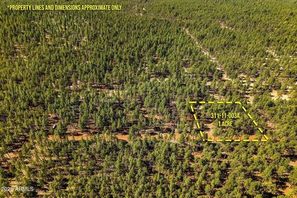 Farm and Ranch for sale in Navajo County, Arizona