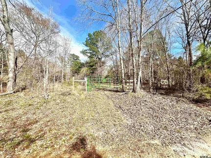 Undeveloped Land for sale in Anderson County, Texas