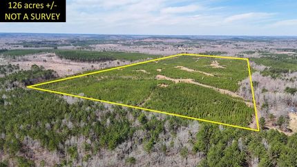 Land for sale in Tishomingo County, Mississippi