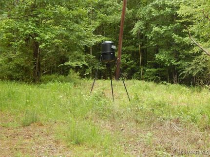 Land for sale in Butler County, Alabama