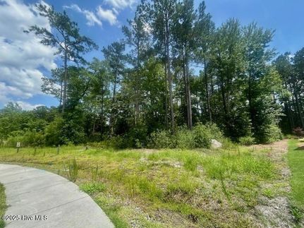 Undeveloped Land for sale in New Hanover County, North Carolina