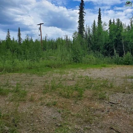 Land in Fairbanks North Star Borough, Alaska