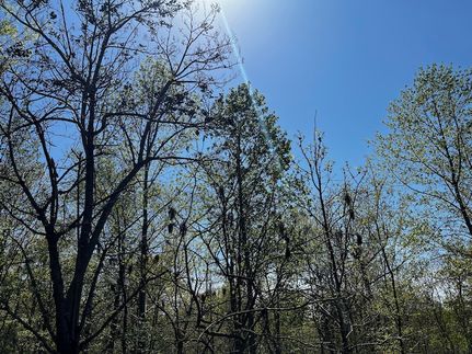 Homesite for sale in Stewart County, Tennessee
