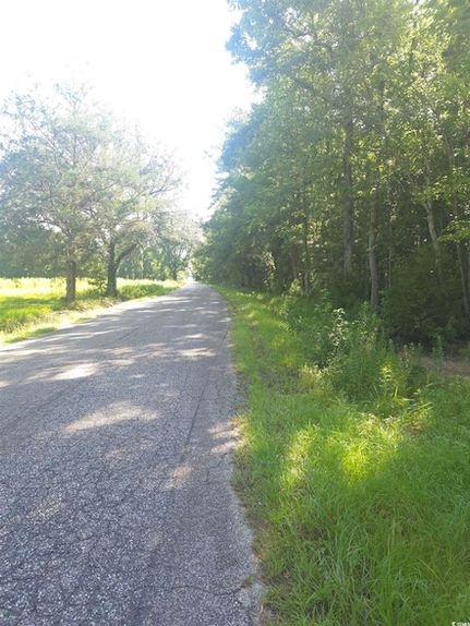 Farm and Ranch for sale in Georgetown County, South Carolina