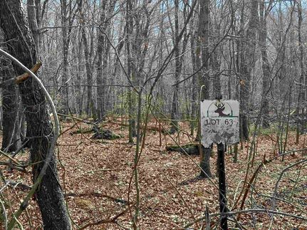 Recreational Property for sale in Montgomery County, Virginia
